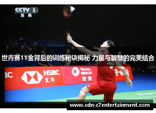 世青赛11金背后的训练秘诀揭秘 力量与智慧的完美结合