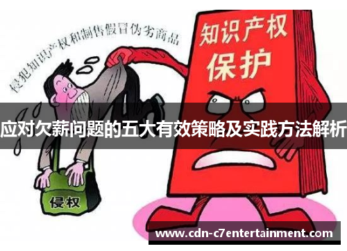 应对欠薪问题的五大有效策略及实践方法解析