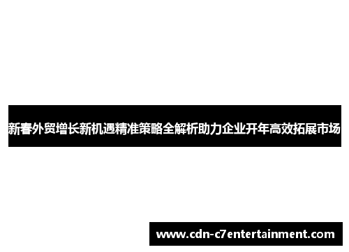 新春外贸增长新机遇精准策略全解析助力企业开年高效拓展市场