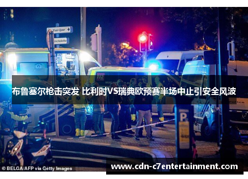 布鲁塞尔枪击突发 比利时VS瑞典欧预赛半场中止引安全风波