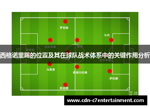 西格诺里踢的位置及其在球队战术体系中的关键作用分析