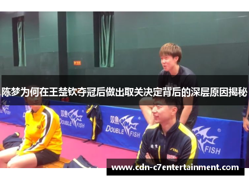 陈梦为何在王楚钦夺冠后做出取关决定背后的深层原因揭秘