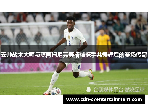 安帅战术大师与琼阿梅尼完美搭档携手共铸辉煌的赛场传奇