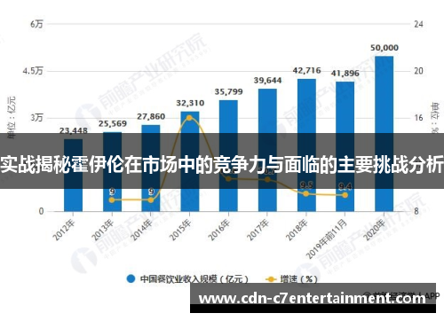 实战揭秘霍伊伦在市场中的竞争力与面临的主要挑战分析