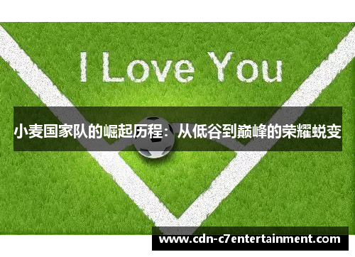 小麦国家队的崛起历程：从低谷到巅峰的荣耀蜕变