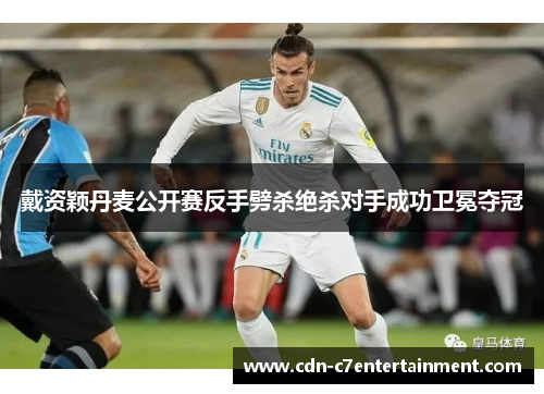 戴资颖丹麦公开赛反手劈杀绝杀对手成功卫冕夺冠