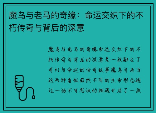 魔鸟与老马的奇缘:命运交织下的不朽传奇与背后的深意 魔鸟与老马的奇缘:命运交织下的不朽传奇与背后的深意
