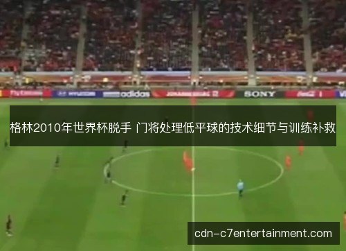 格林2010年世界杯脱手 门将处理低平球的技术细节与训练补救